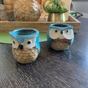 Super cute ceramic owl votive/small planters